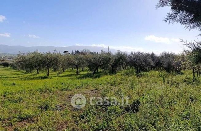 Terreno edificabile in residenziale in Strada Provinciale 452