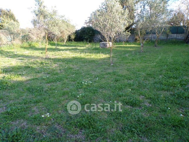 Terreno agricolo in commerciale in Strada Vicinale Carrabuffas