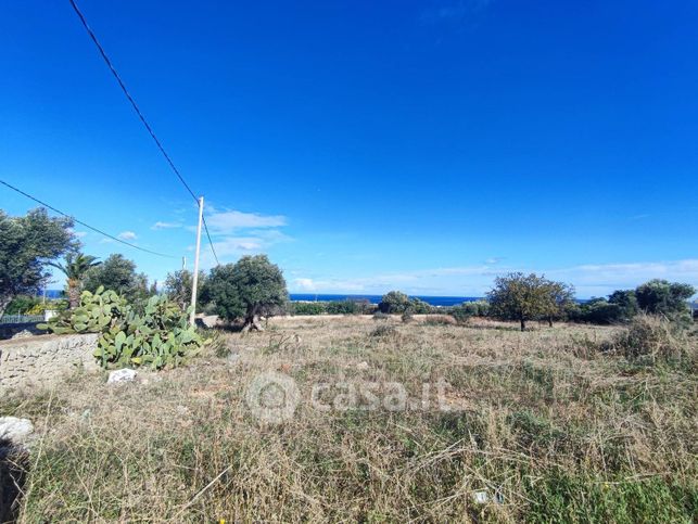 Terreno agricolo in commerciale in Strada Comunale Santa Candida