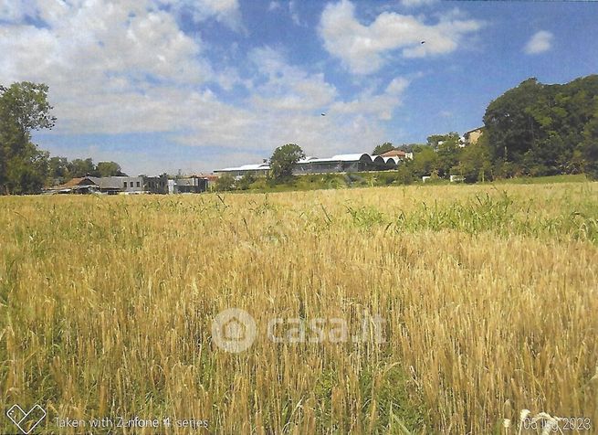 Terreno agricolo in commerciale in Strada Consorziale