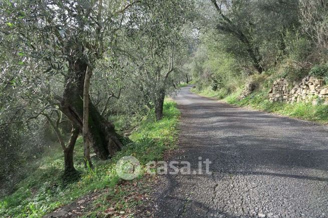 Terreno agricolo in commerciale in 