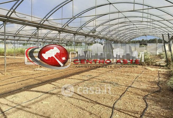 Terreno agricolo in commerciale in Via Pisciniello