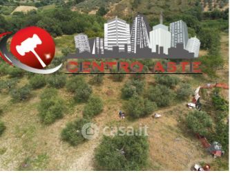 Terreno agricolo in commerciale in Via Colli Albani