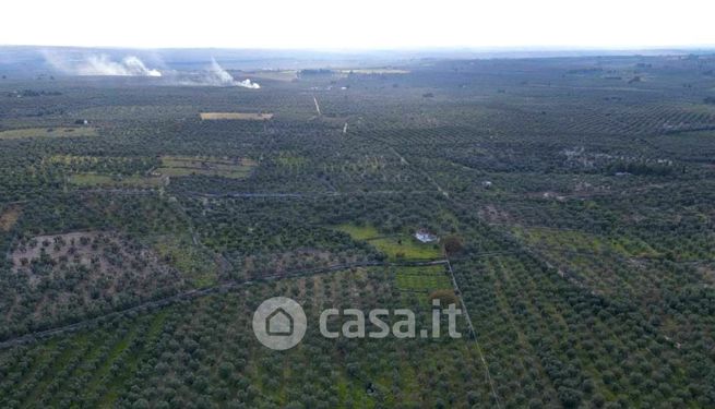 Terreno agricolo in commerciale in Contrada capocasale