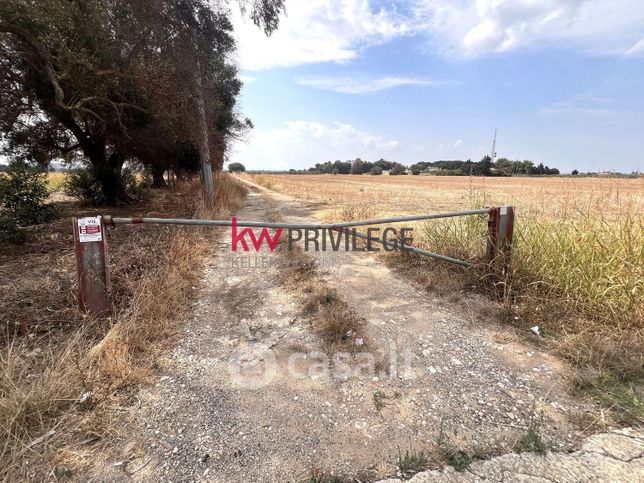 Terreno agricolo in commerciale in 
