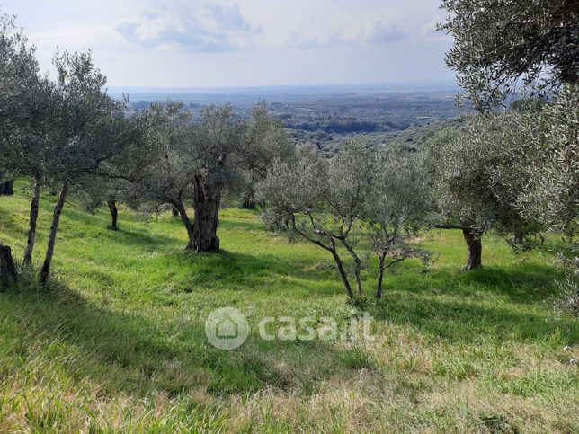 Terreno agricolo in commerciale in Strada di Pomata