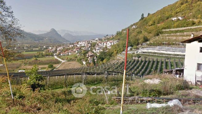 Terreno agricolo in commerciale in Via Paludi