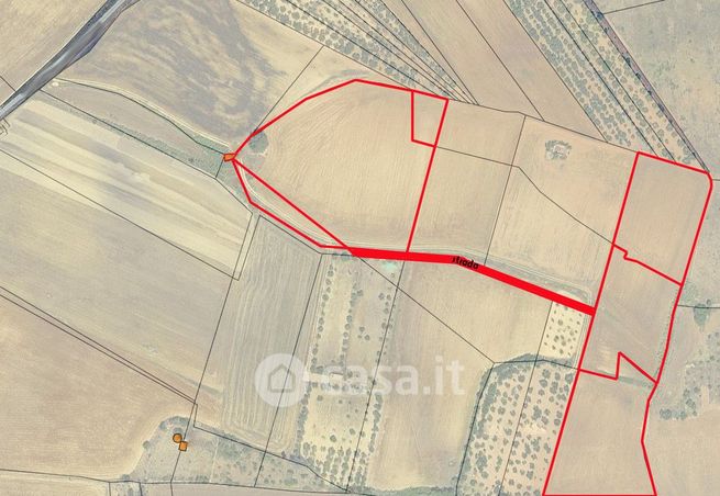 Terreno agricolo in commerciale in Strada Comunale Esterna 114 Puttecchia