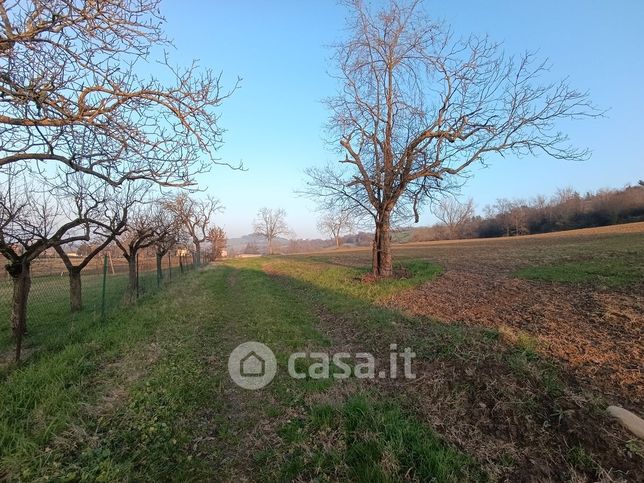 Terreno agricolo in commerciale in Strada delle Vigne