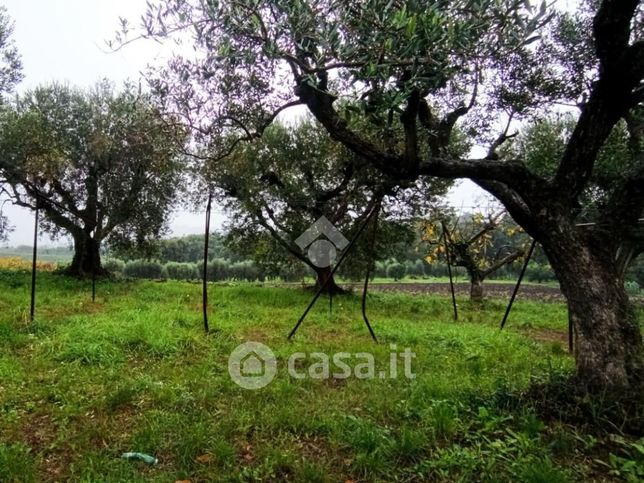 Terreno edificabile in residenziale in Via Scassati 32