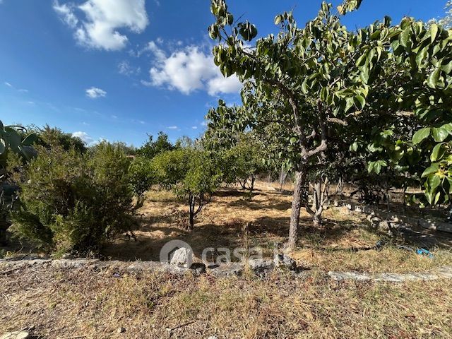 Terreno agricolo in commerciale in Strada Vicinale Lu Saltu di lu Marchesi