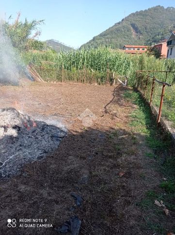 Terreno agricolo in commerciale in Via Frisolino