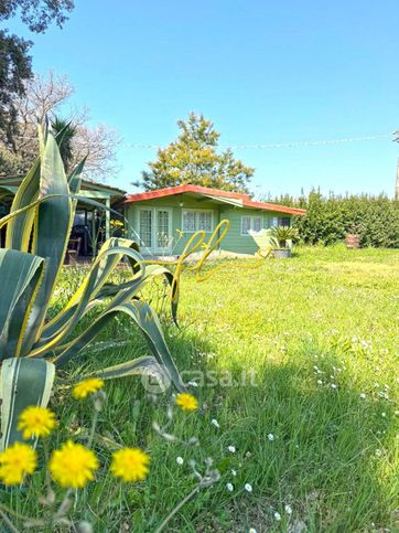 Terreno agricolo in commerciale in Località il Giardino 57016