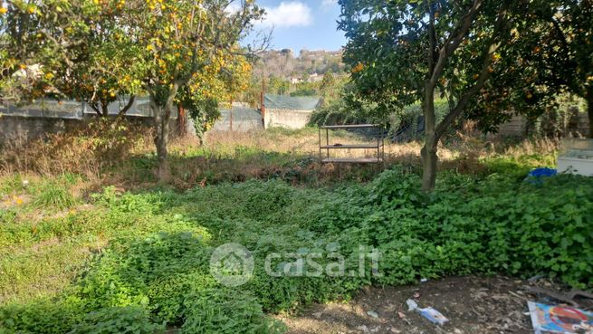 Terreno agricolo in commerciale in Via Le Bucoliche
