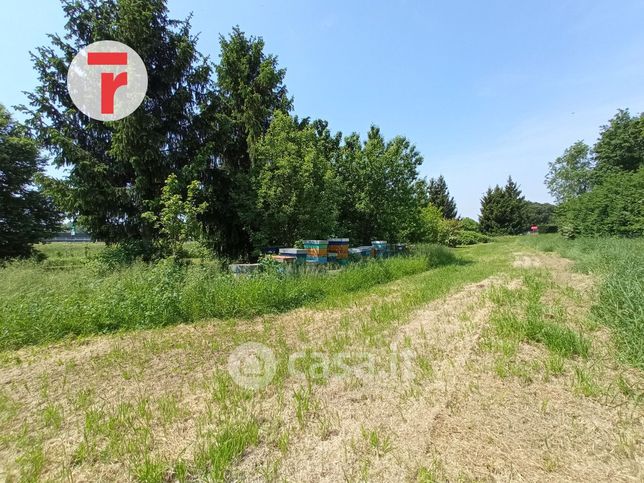 Terreno agricolo in commerciale in Via della Salutare