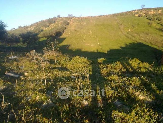 Terreno agricolo in commerciale in 