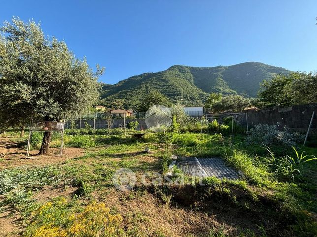 Terreno agricolo in commerciale in Traversa di Nola