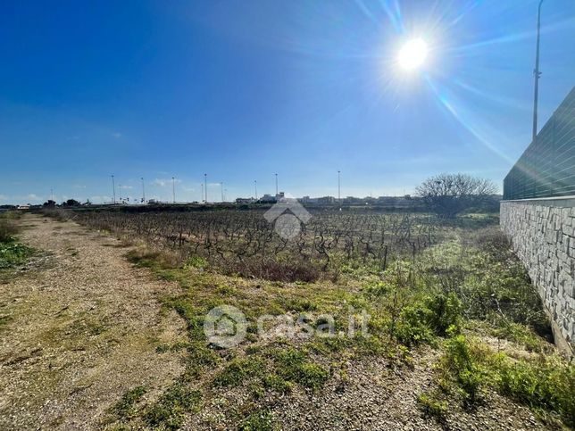 Terreno agricolo in commerciale in Via Olivari