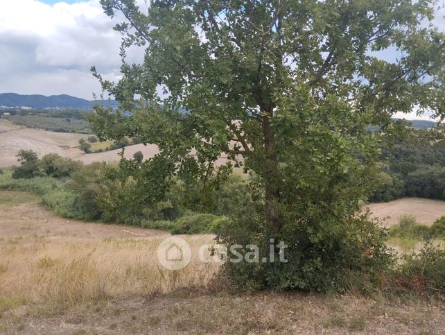 Terreno agricolo in commerciale in Via Roma