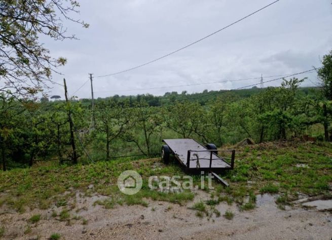 Terreno agricolo in commerciale in Viale Italia