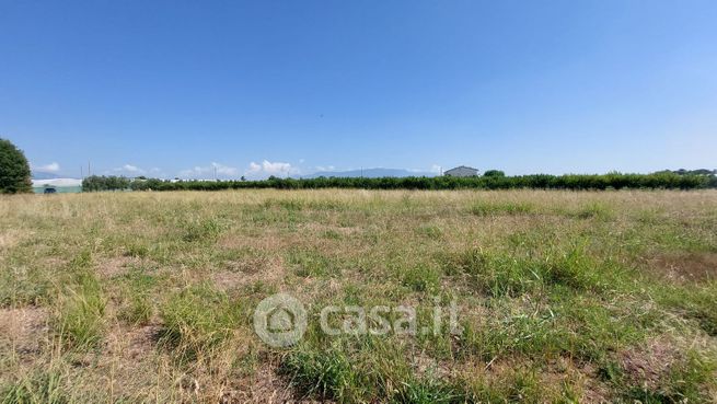 Terreno agricolo in commerciale in I traversa San MIELE