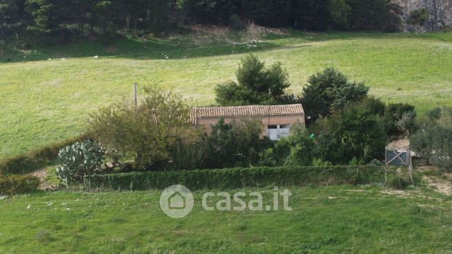 Terreno agricolo in commerciale in Contrada Pianto Romano