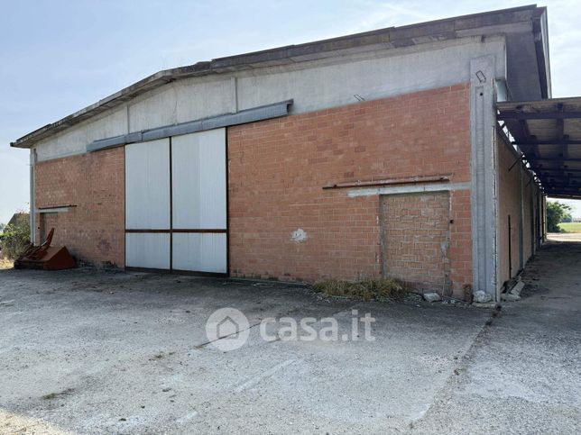 Capannone in commerciale in 