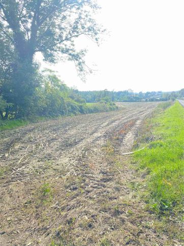 Terreno agricolo in commerciale in Via Privata per Monguzzo