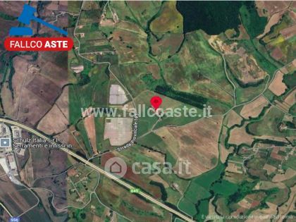 Terreno agricolo in commerciale in anagni