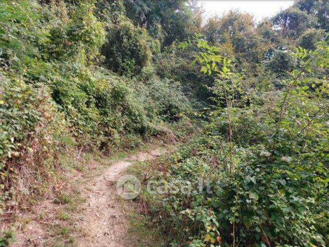 Terreno agricolo in commerciale in Via Monte Bastia