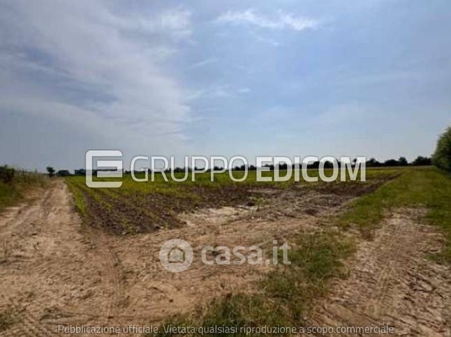 Terreno agricolo in commerciale in Via Olmo