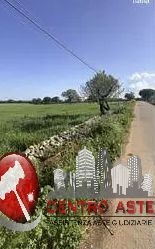 Terreno agricolo in commerciale in Strada Vicinale Marzagaglia