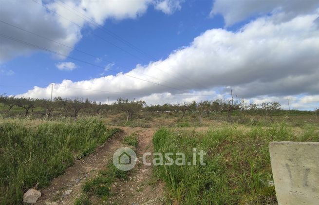 Terreno agricolo in commerciale in 