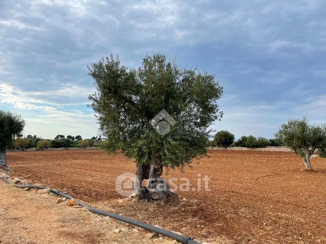 Terreno agricolo in commerciale in Strada Comunale Zupparello