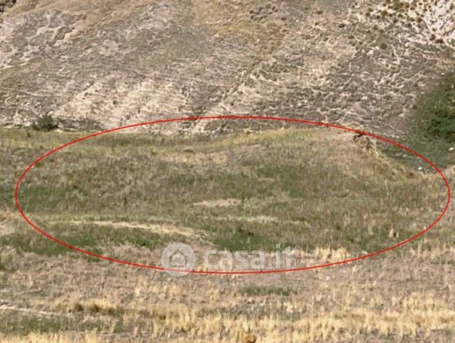 Terreno agricolo in commerciale in Strada Provinciale 10