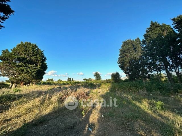 Terreno agricolo in commerciale in Via Tre Palmare 62