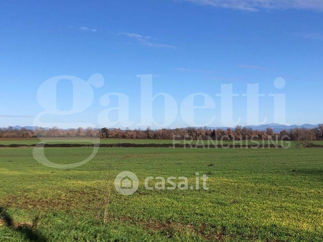 Terreno agricolo in commerciale in Via Nepesina