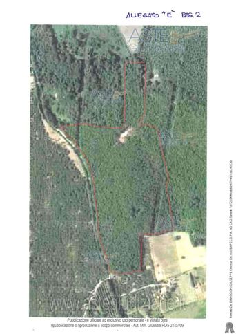 Terreno agricolo in commerciale in Via Olmata Tre Cancelli