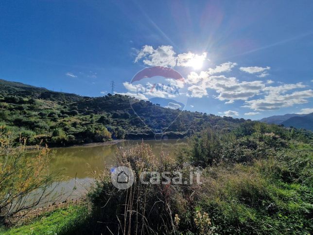 Terreno agricolo in commerciale in Strada Senza Nome