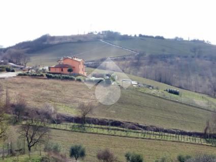 Terreno edificabile in residenziale in Via del Grillo