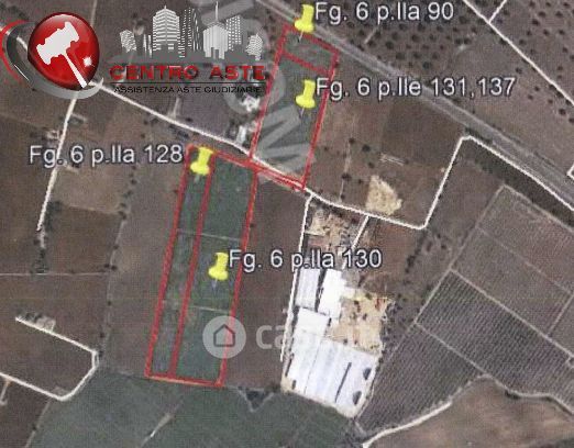 Terreno agricolo in commerciale in Via Principe Amedeo
