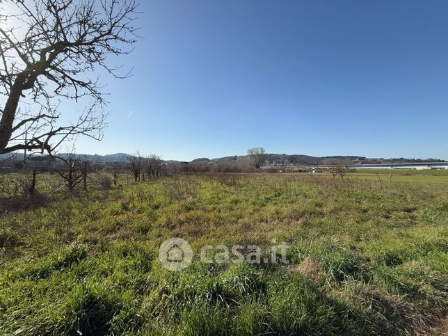 Terreno agricolo in commerciale in Via del Piano