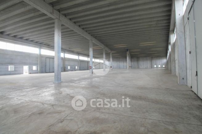 Capannone in commerciale in Via dei Curti 1