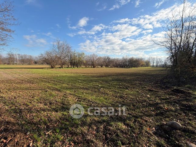 Terreno agricolo in commerciale in Strada del SignÃ¹