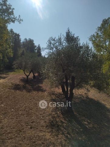 Terreno agricolo in commerciale in 