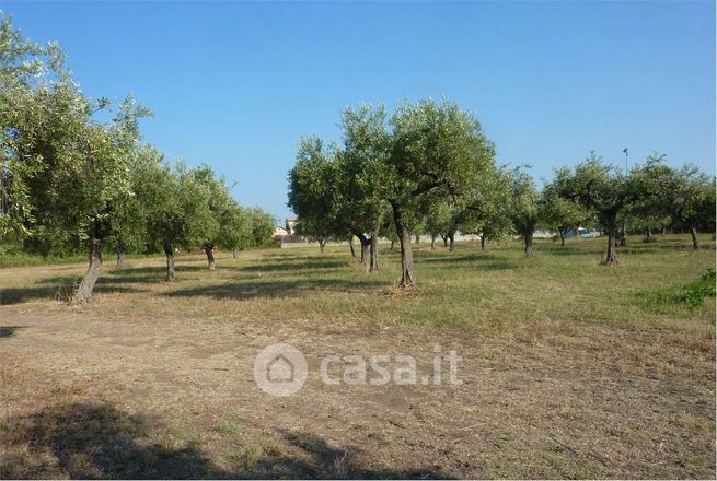 Terreno agricolo in commerciale in Contrada SANTA LIBERATA