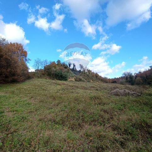 Terreno agricolo in commerciale in Via Carpognane