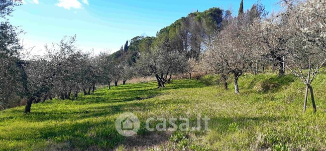 Terreno agricolo in commerciale in Via dei Cipressi 14 A