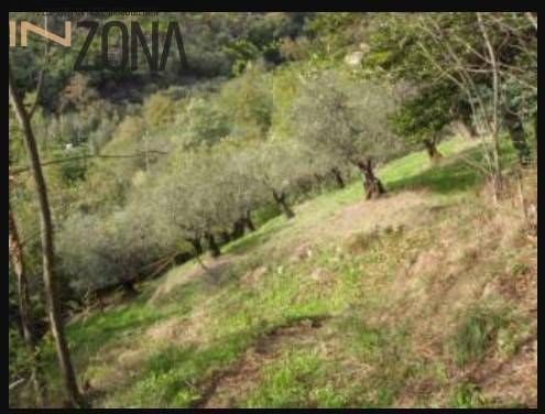 Terreno agricolo in commerciale in Via Dante Alighieri