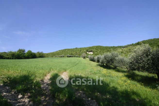 Terreno agricolo in commerciale in Via Montebello